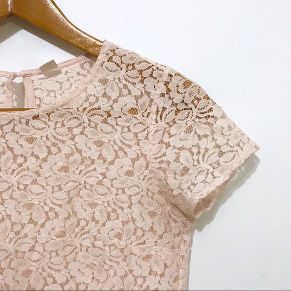Pale Pink Sheer Lace Cap Sleeve Blouse - Picture 2 of 6